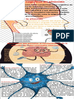 Proceso Cognitivo de Atención