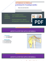 Articulacion Glenohumeral