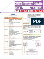 Proteínas-y-Ácidos-Nucleicos-para-Quinto-Grado-de-Secundaria (1)