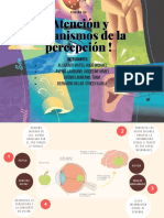 Atención y Mecanismos de La Percepción