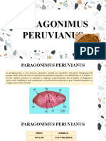 PARAGONIMUS PERUVIANUS