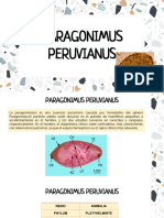 PARAGONIMUS