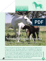 Dialnet NeonatologiaEquina 6001479 (2)