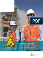 EDC Libro Prevencion Silicosis