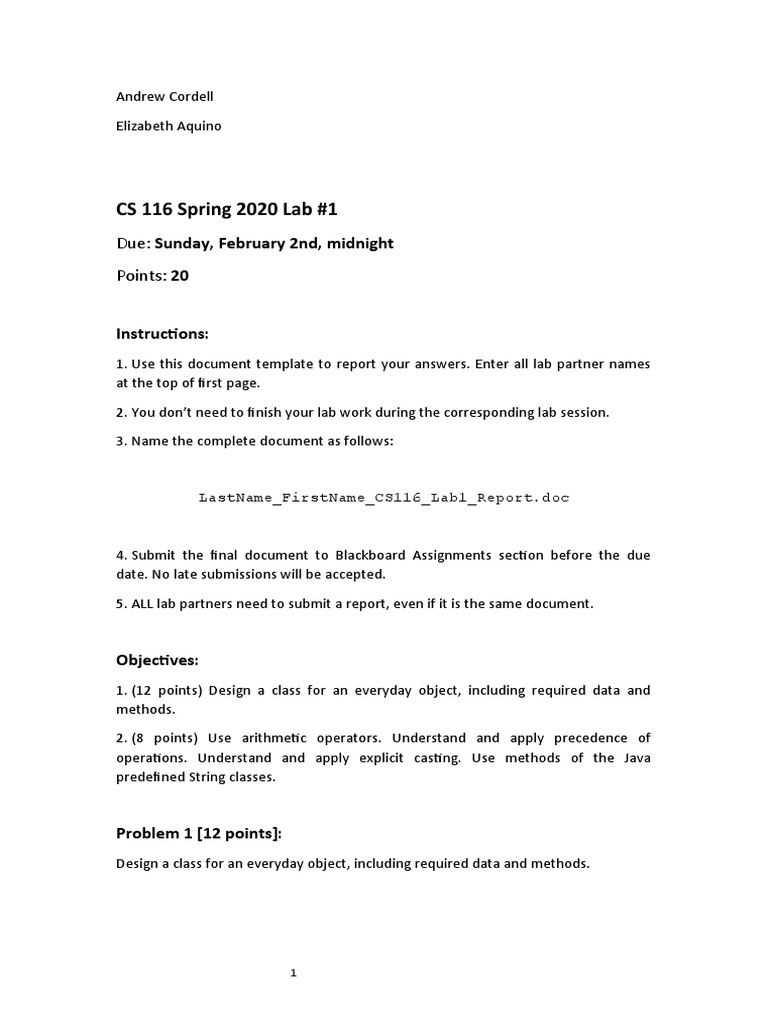 CS116 Lab 1: Java Class Design and Analysis | PDF | Integer (Computer ...