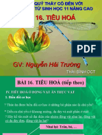 He Tieu Hoa