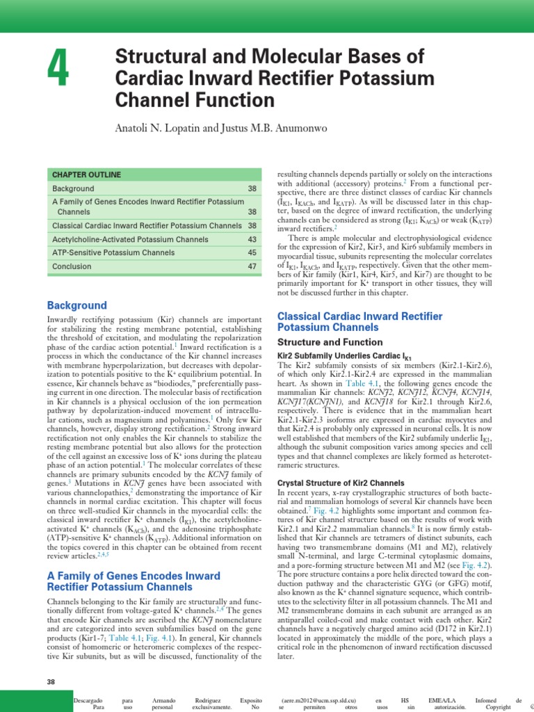 Structural and Molecular Bases of Cardiac Inward Rectifier Potassium ...