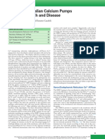 Mammalian Calcium Pumps in Health and Disease: Marisa Brini and Ernesto Carafoli