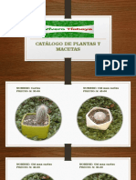 Catalogo de Plantas