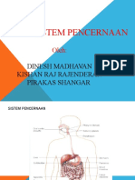 Sistem Penghadaman