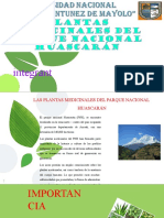 Las Plantas Medicinales Del Parque Nacional Huascarán