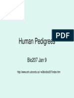 Human Pedigrees: Bio207 Jan 9
