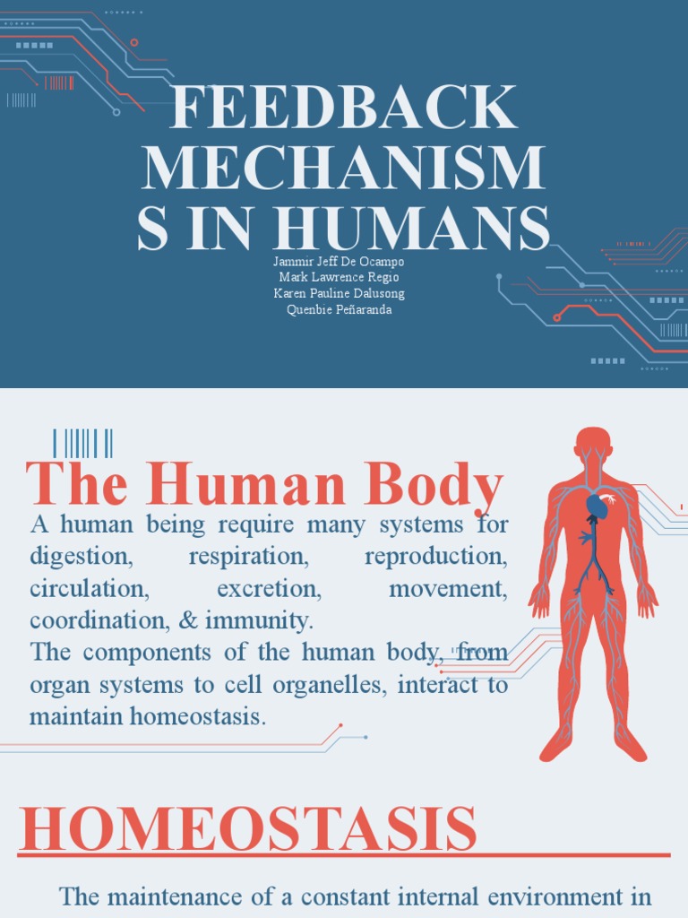 Human Feedback Mechanisms Explained | PDF | Wellness | Science ...