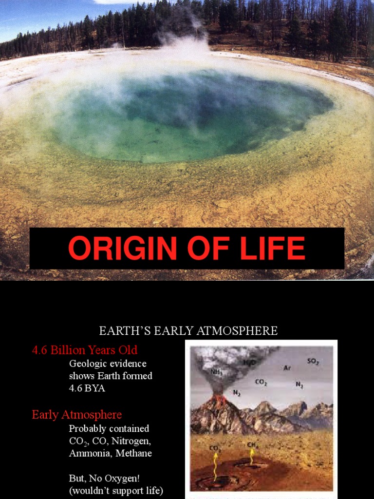 Earth and Life Science Module 2 - Q2 LESSON | PDF | Organisms | Evolution
