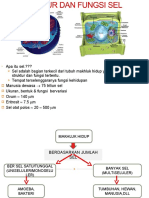 Struktur Dan Fungsi Sel 1