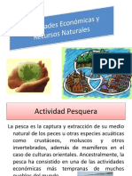 Importancia Economica y Uso de Los Recursos Naturales