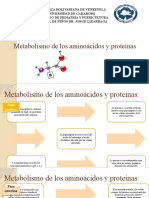 Bioquimica - Metabolismo de Los Aminoácidos y Proteínas