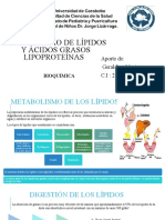 Metabolismo de lípidos y ácidos grasos: digestión, absorción y transporte