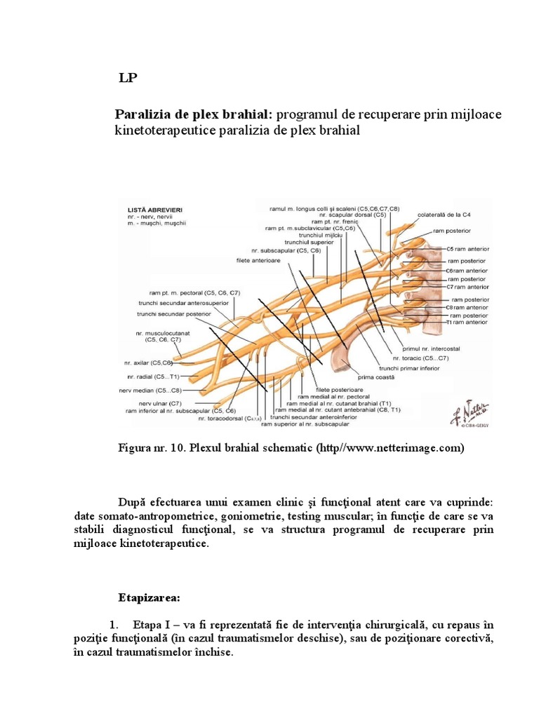 Paralizia de Plex Brahial | PDF