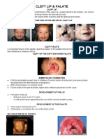 Cleft Lip & Palate Care Guide