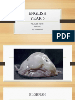 Blobfish