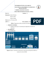 APE 4 Molecular