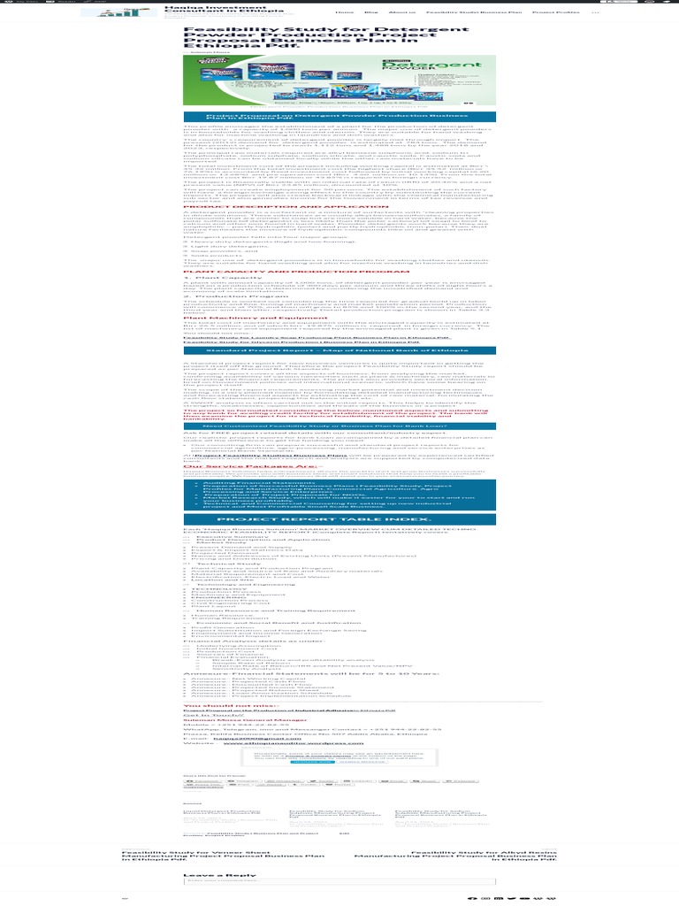 Feasibility Study For Detergent Powder Production Project Proposal