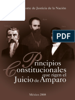 Principios Constituciones Que Rigen El Juicio de Amparo-scjn