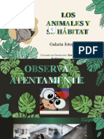 Galeria - Animales