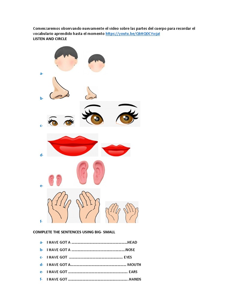 Body Parts | PDF