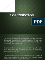 Morfología de Insectos Parcialii1