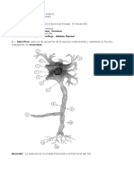 Guia Neuronas III