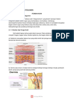 SISTEM Integumen WPS Office