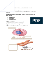 Actividades 3ºeso Biología