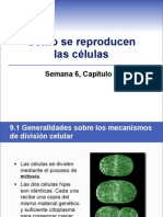 sem6cap9mitosis-100825121839-phpapp01