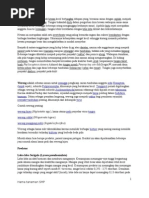 Download MATERI HAMA SMP by Mas Nawawi SN51082981 doc pdf
