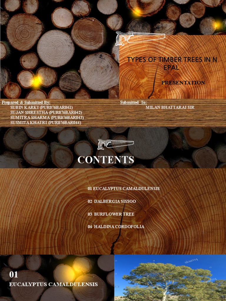 Types of Timber | PDF | Eucalyptus | Plants