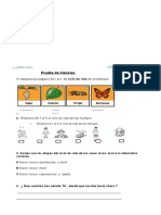 Prueba de Ciencias Semana 24 Mayo