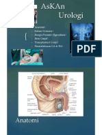 AsKAn Urologi - 1