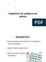 Clase 4b Diagnostico de Patogenos de Plantas Fitopatologia 2020