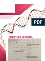 Biosintesis Seramida
