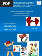 Download cuidados de enfermeria IRA IRC by Neon Angel Kh SN51084339 doc pdf