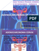 Adenocarcinoma de Cervix