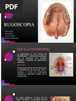 Rugoscopia: Clasificación y Aplicaciones | PDF