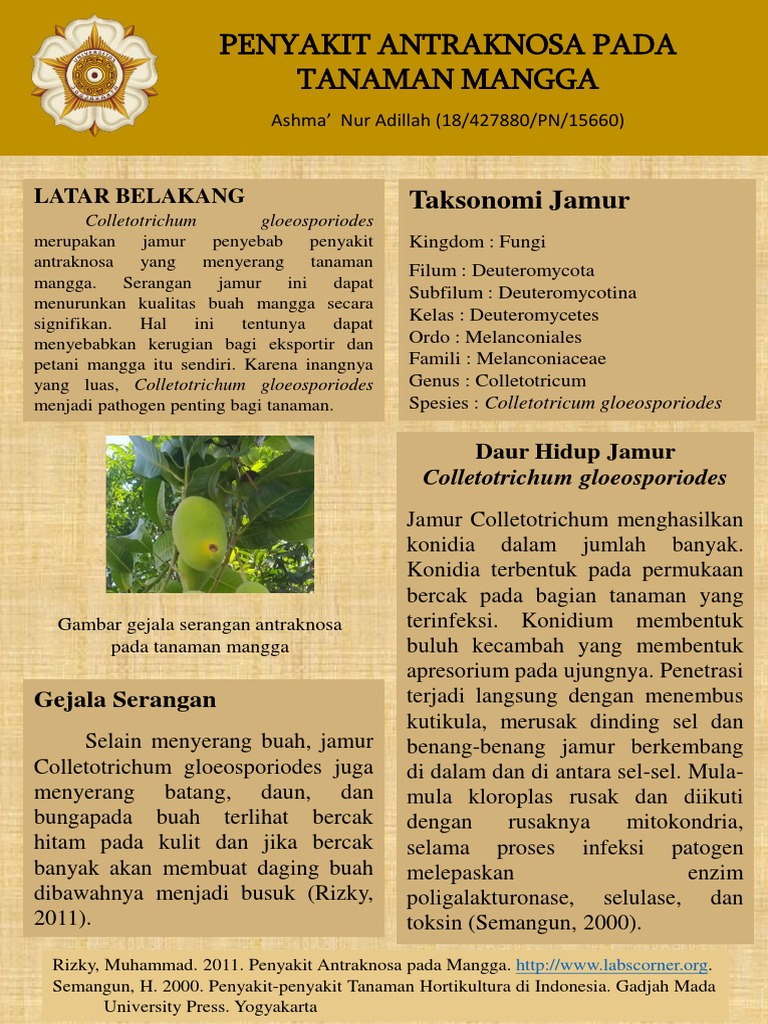 Porno filmlarda Katya Sambuca