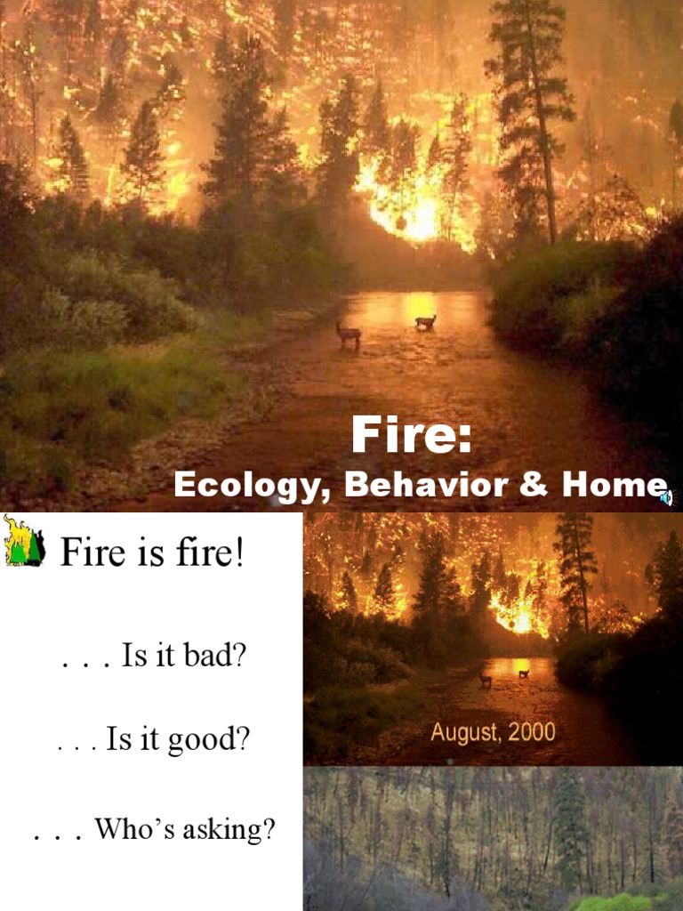 Ecology Behavior Home Fire Pdf Wildfire Fires