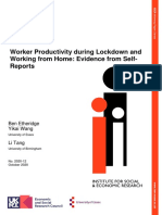 Worker Productivity During Lockdown and Working From Home: Evidence From Self-Reports