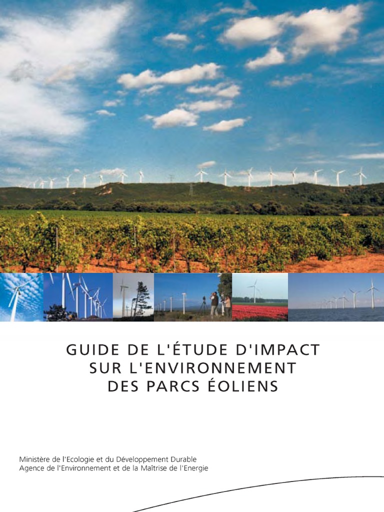 Guide de L'Etude D'Impact Sur L'Environnement Des Parcs Eoliens | PDF ...