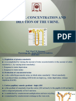 6- Renal Concentration and Dilution of the Urine