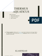 Thermus Aquaticus